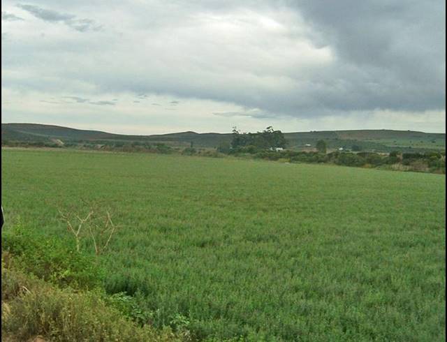 FARM FOR SALE IN MOSSEL BAY RURAL